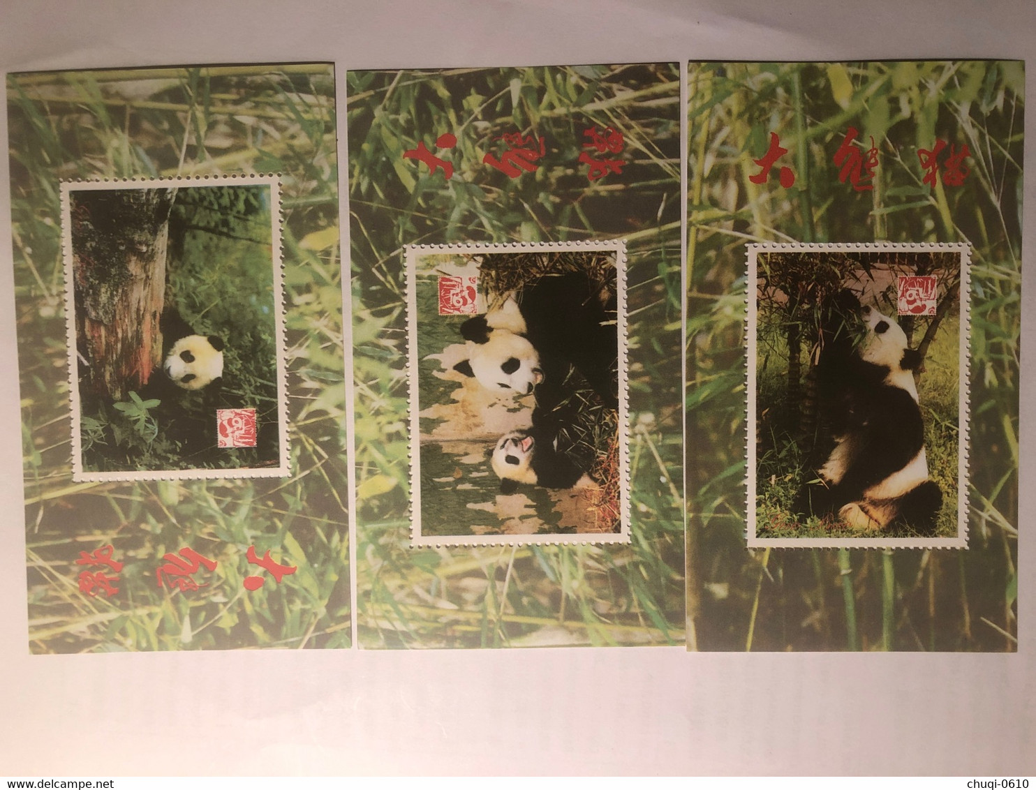 China Commemorative Sheet, Giant Panda, Fake Stamp，10v - Collections, Lots & Series