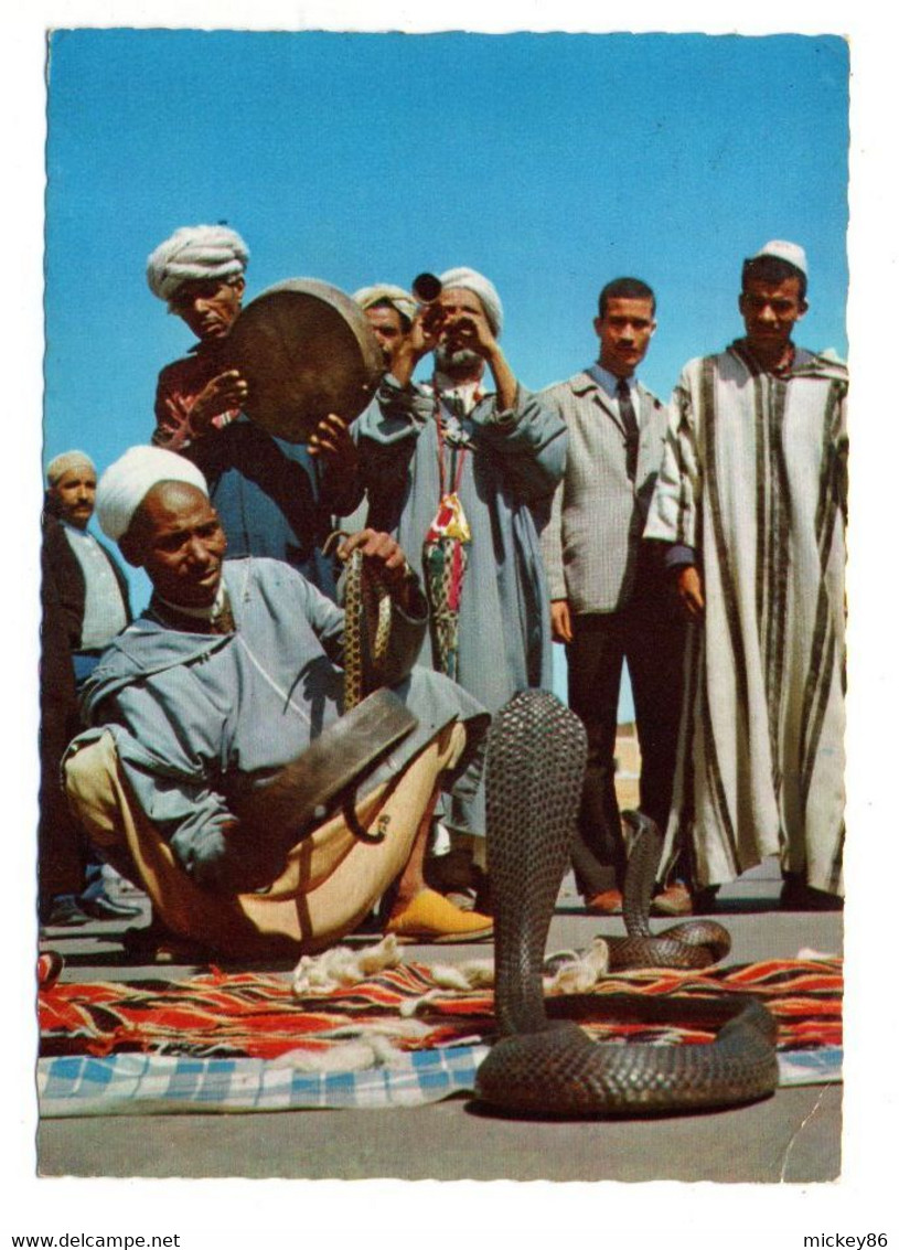 Maroc --MEKNES - 1977 -- Charmeurs De Serpents (très Animée ) ....beaux  Timbres.......cachet..........à Saisir - Meknes