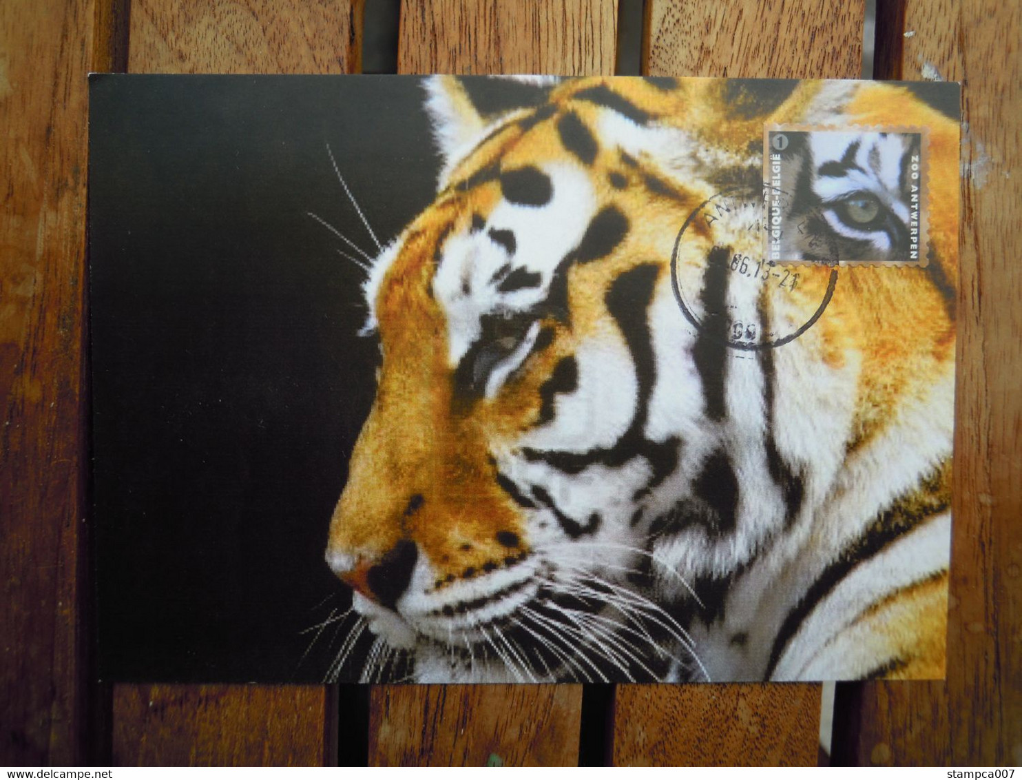OCB Nr 4346 Fauna Tijger Tigre Tiger Carte Maximum - 2011-..