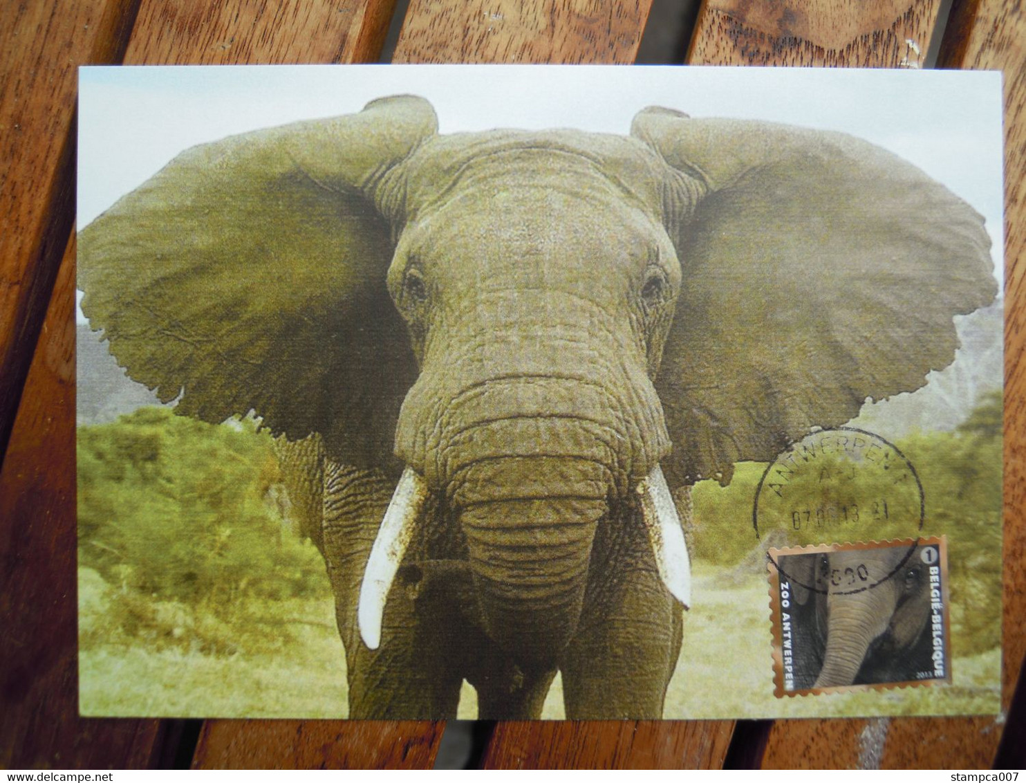 OCB Nr 4341 Fauna Olifant Elephant   Carte Maximum - 2011-..