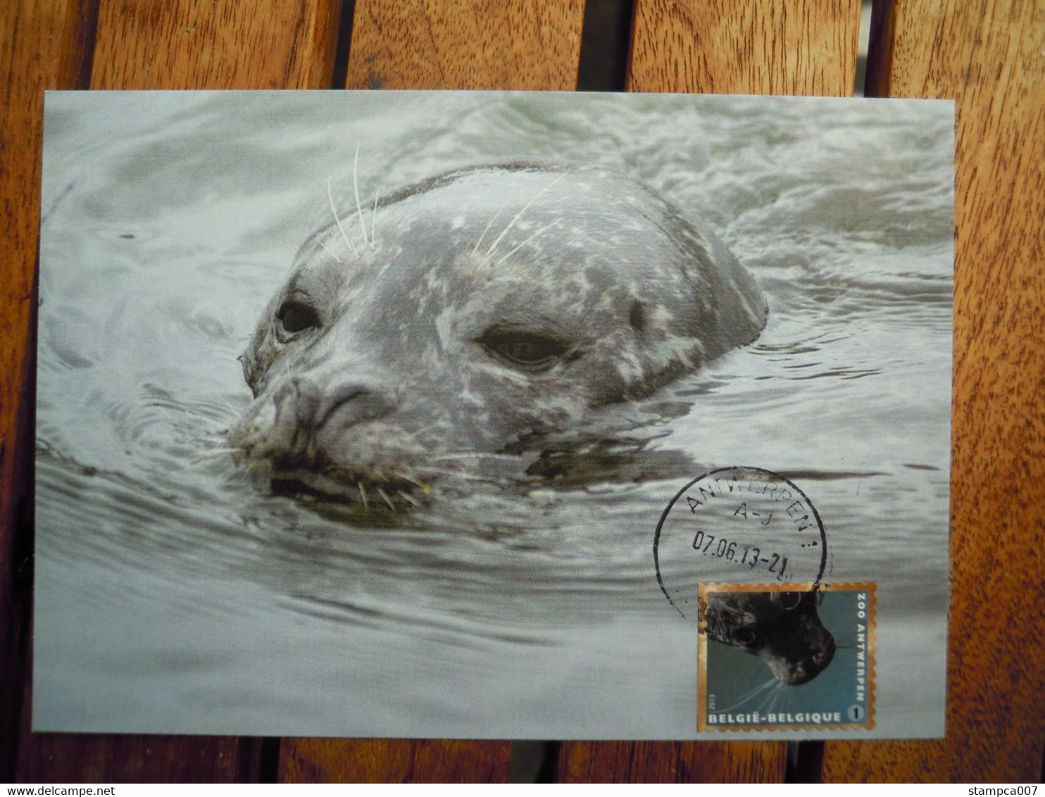 OCB Nr 4344 Fauna Zeehond Phoque Seal     Carte Maximum - 2011-..