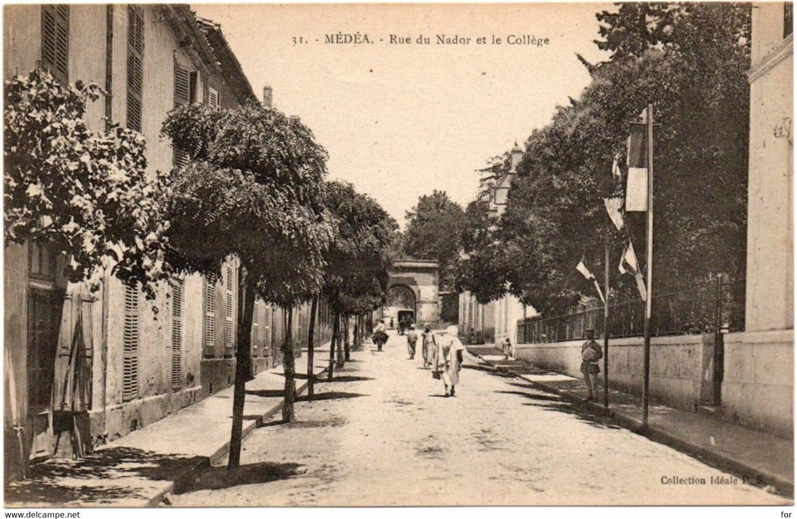 Algérie : MEDEA : Rue Du Nador Et Le Collège : Animée - Médéa