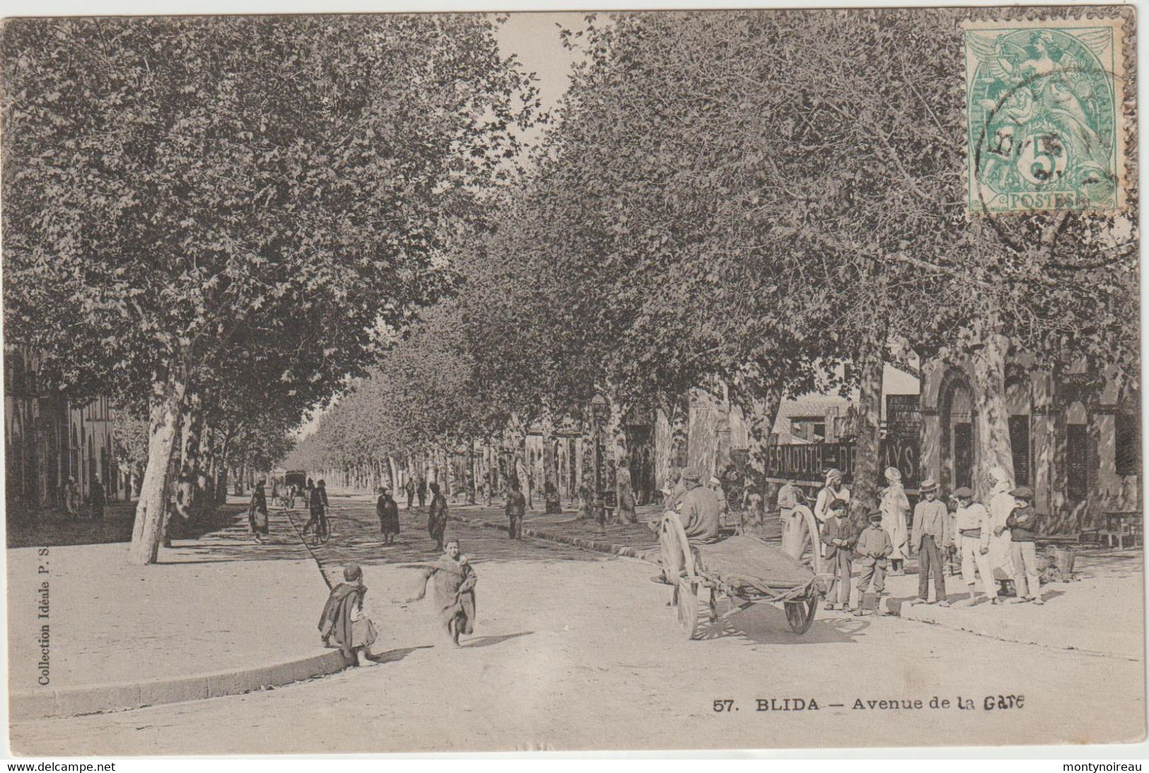 Algérie : BLIDA :  Avenue  De La  Gare - Blida