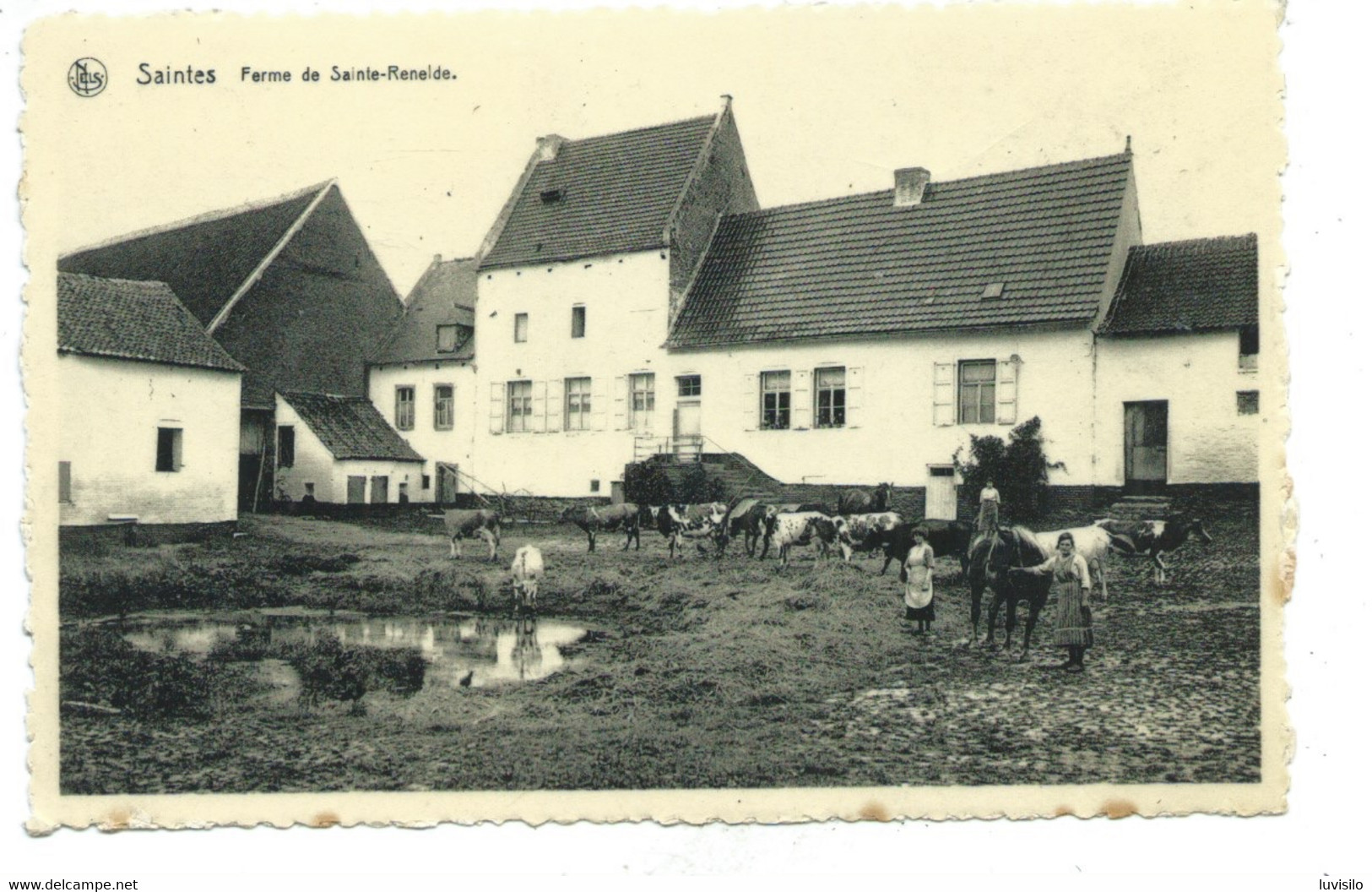 Saintes - Ferme De Sainte Renelde ( Tubize ) - Tubize