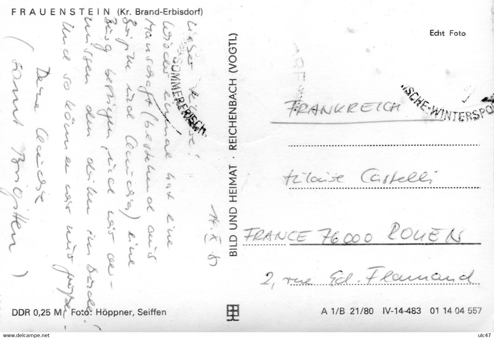 - FRAUENSTEIN (Kr. Brand-Erbisdorf) - BURGRUINE Frauenstein - Scan Verso - - Frauenstein (Erzgeb.)