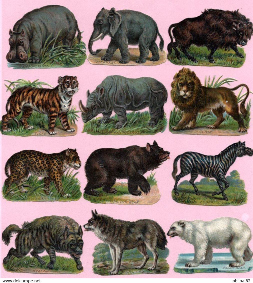 12 Découpis Animaux Sauvages Divers. Eléphant, Ours, Rhinocéros, Hippopotame, Lion, Tigre, Loup, .... - Animals