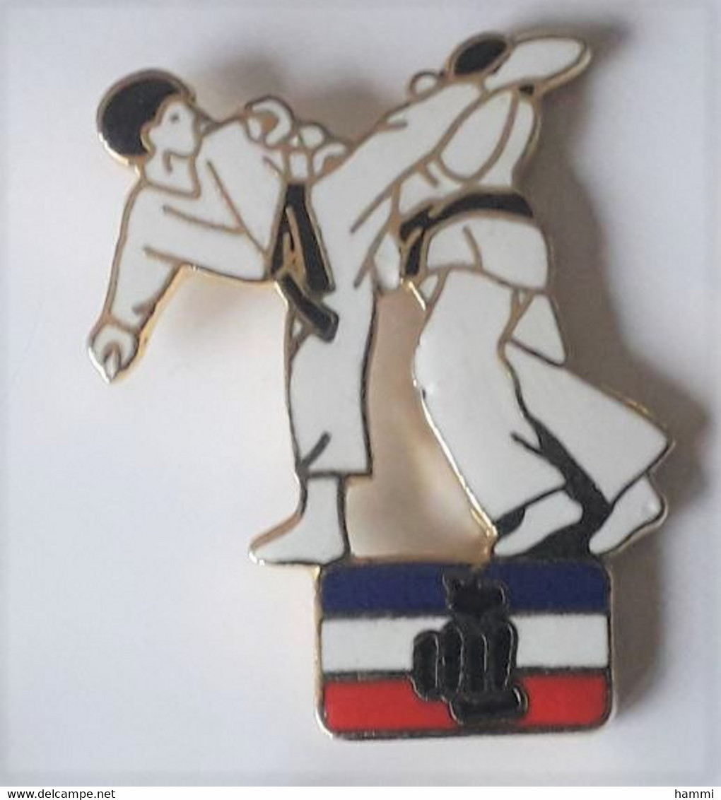 X208 Pin's JUDO KARATE Combat Drapeau Qualité EGF Achat Immédiat - Ringen