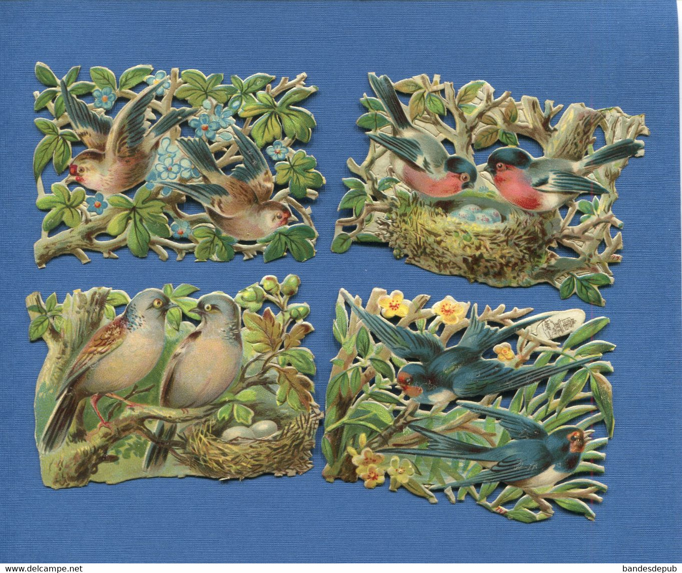 Printemps Bel Ensemble 4 Chromos Decoupis Gaufrés Nid Oiseaux Couple Couvée Oeufs Fleurs 6,5 X 8,5 Cm Chaque - Animaux