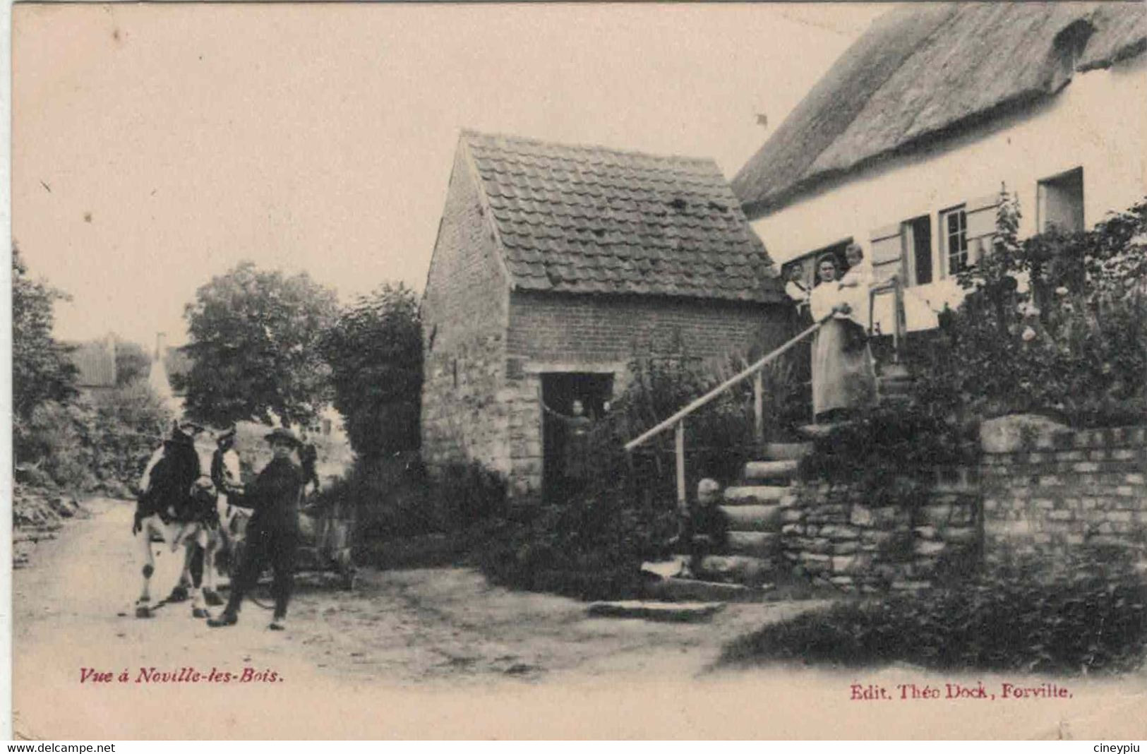 Vue à Noville Les Bois Animée Circulé En 1907 - Belle Carte - Fernelmont