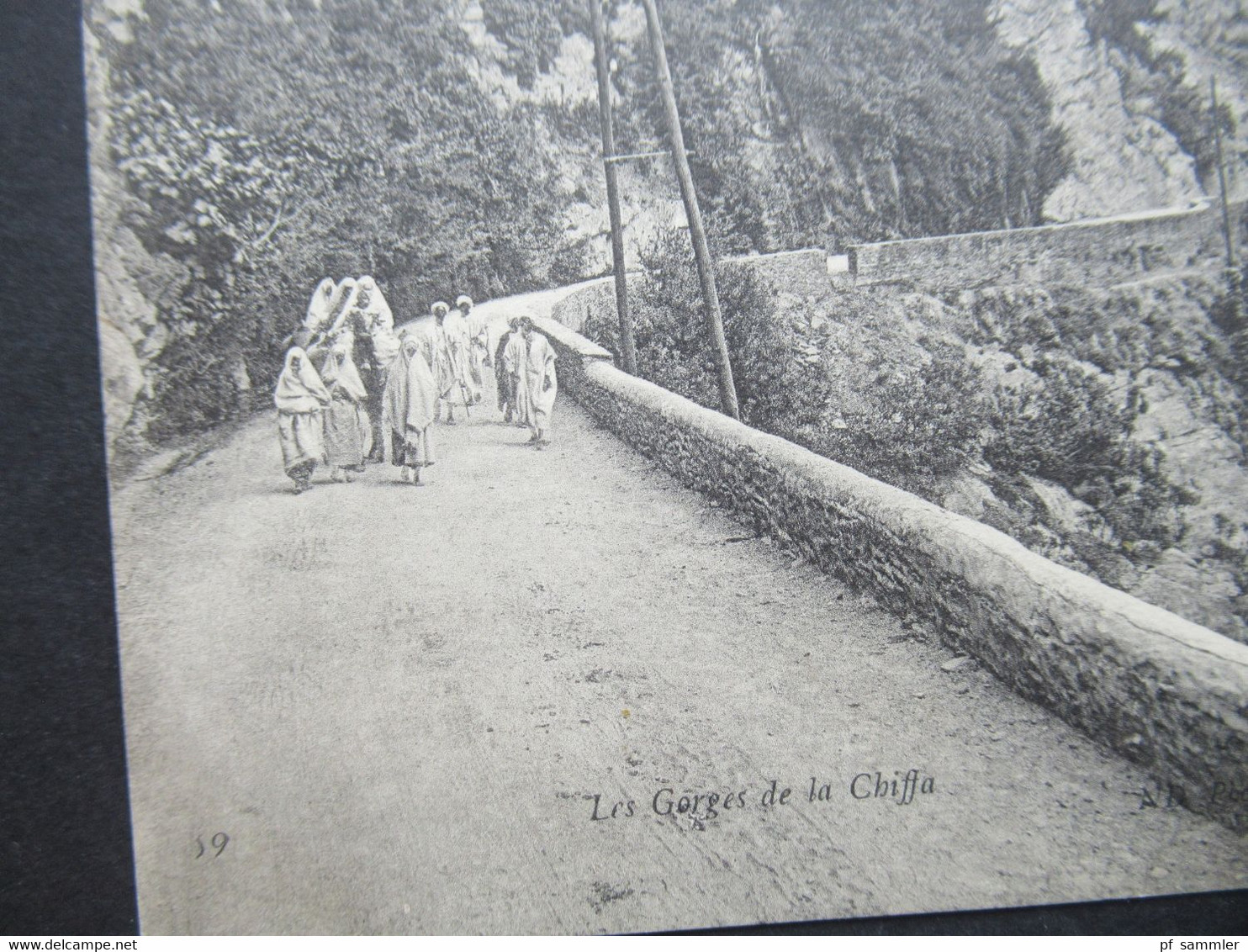 Frankreich Kolonie Algerien AK 1907 Les Gorges De La Chiffa Bahnpost Stempel Affreville A Alger - Scènes & Types