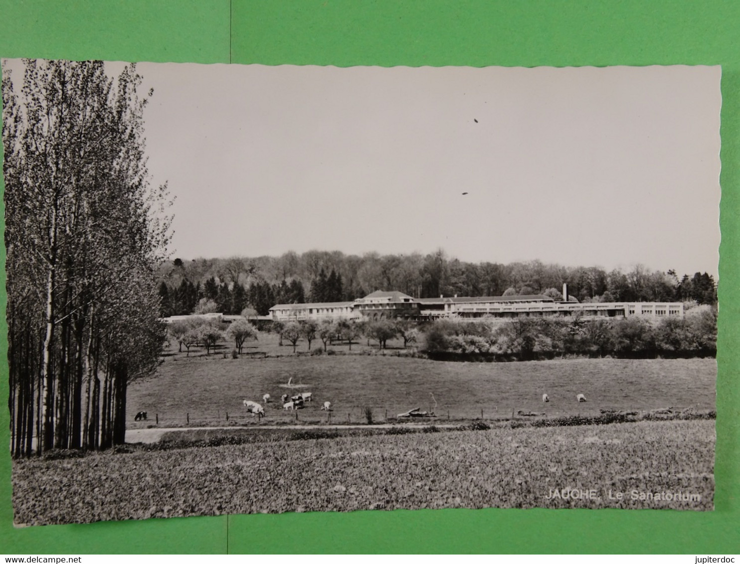 Jauche Le Sanatorium - Orp-Jauche