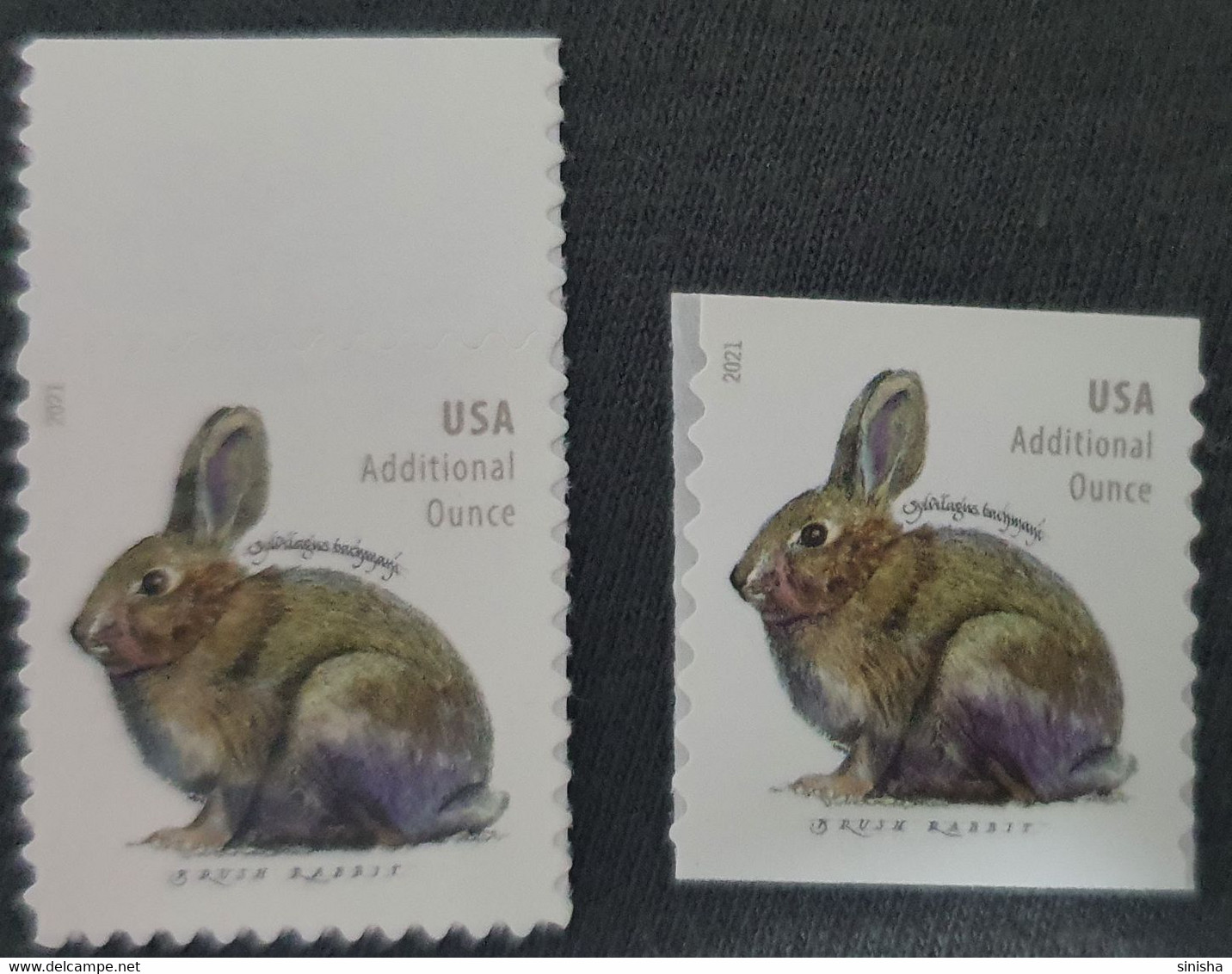 USA / Rabbit - Unused Stamps