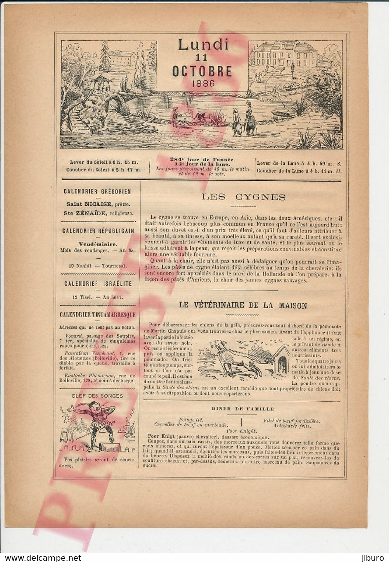 Oiseau Cygne Gale Chien Martin Chapuis Pommade Poudre Vétérinaire Chanson La Bonne Aventure Fouet Punition Enfant Verges - Zonder Classificatie