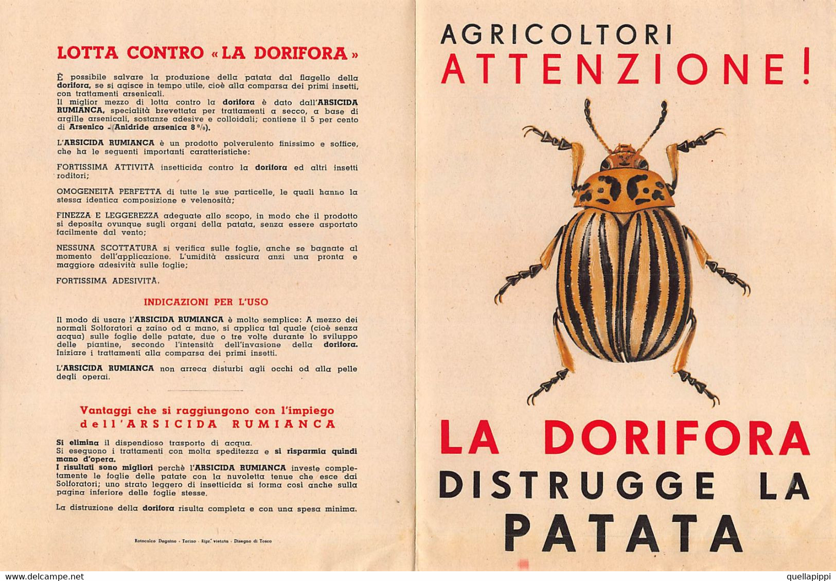 013932 "AGRICOLTORI ATTENZIONE! - LA DORIFORA DISTRUGGE LA PATATA - ARSICIDA RUMIANCA"  DISEGNO DI TOSCO. PUBBL. '50 - Pubblicitari