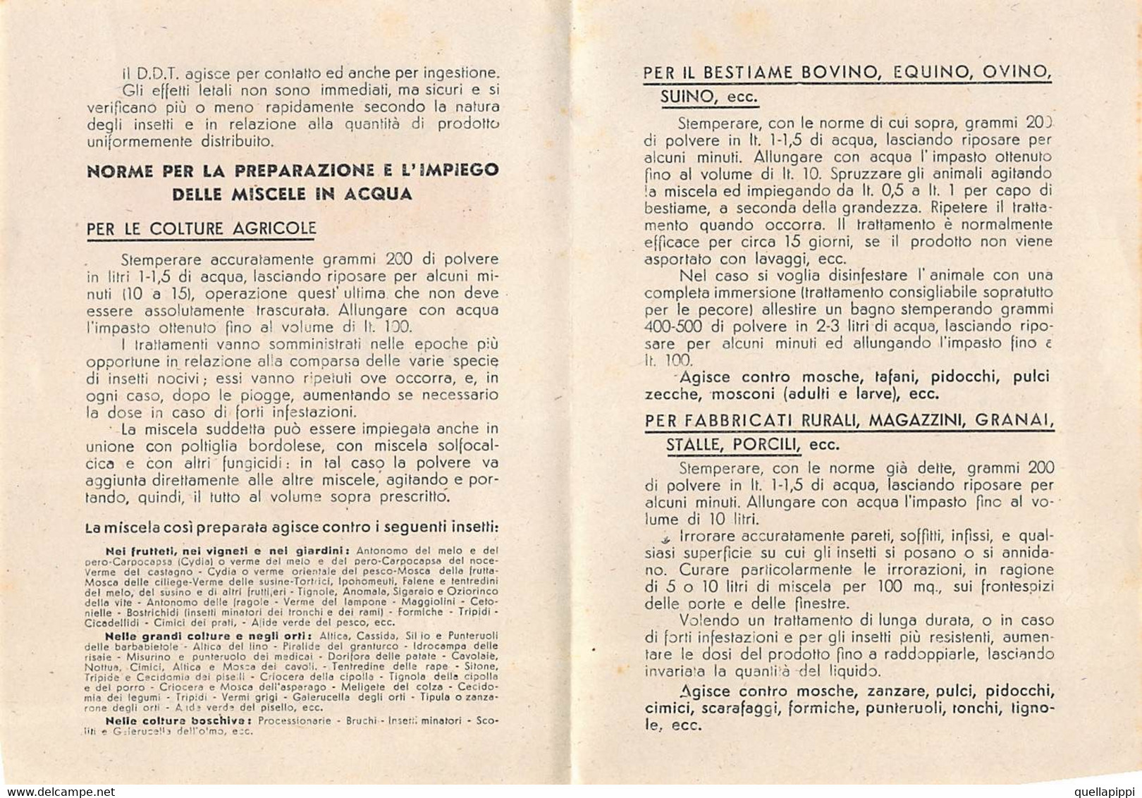 013935 "INSETTICIDA D.D.T. AGRICOLO POLVERE BAGNABILE- B.P.D.ROMA-BOMBRINI PARODI-DELFINO - MICHIGAN U.S.A." PUBBL. '50 - Pubblicitari