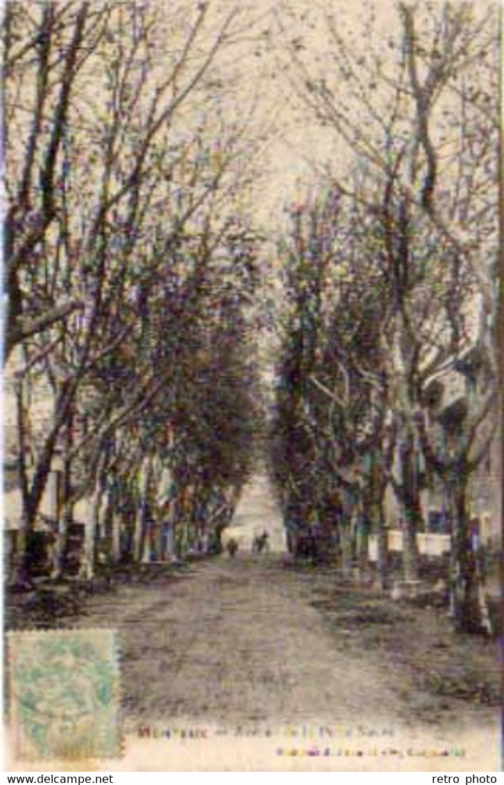 3 Cpa Monteux - La Mairie, Porte D'Avignon, Avenue De La Porte Neuve  .. ( S.10440 ) - Monteux