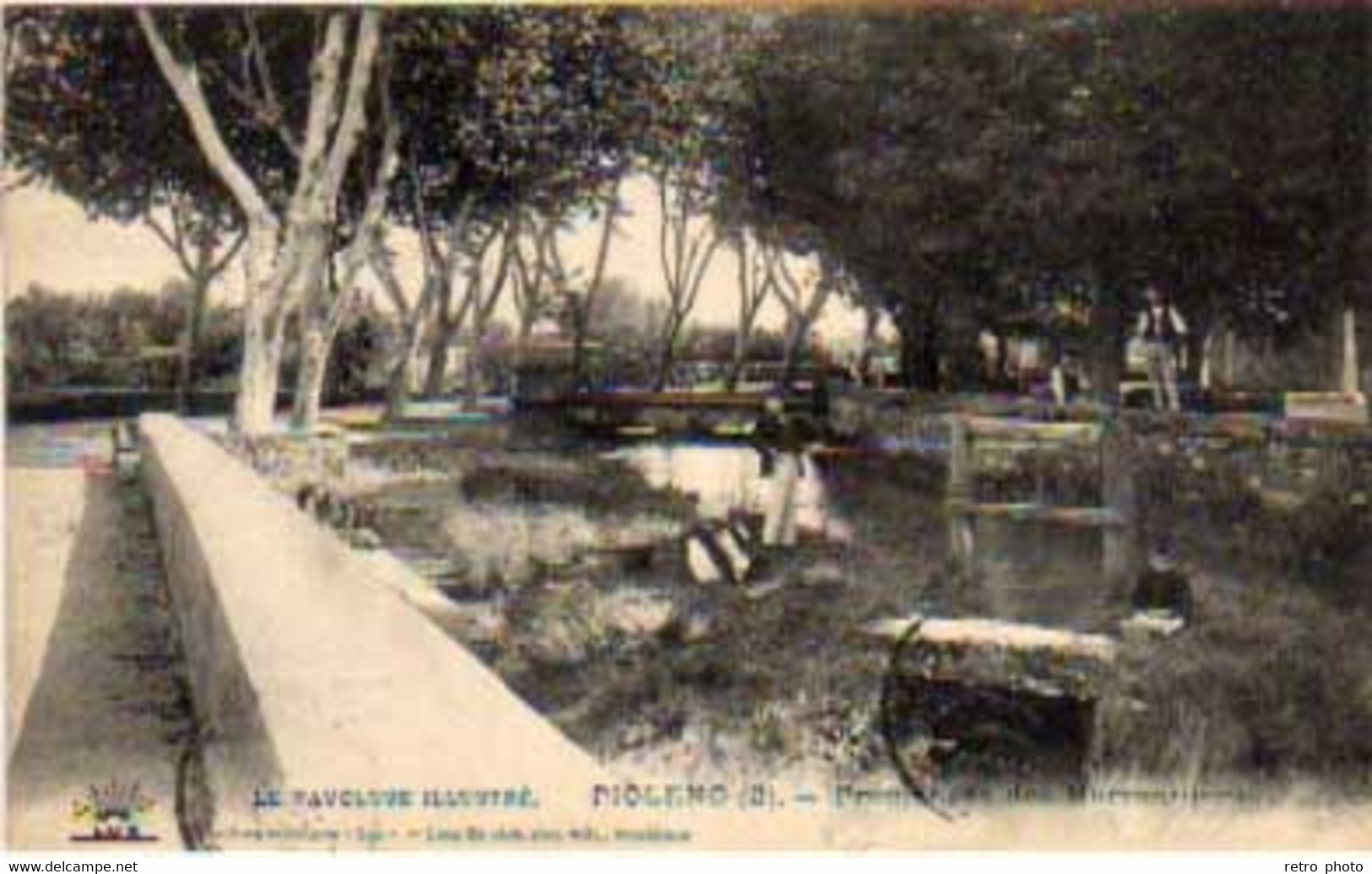 Cpa Piolenc - Promenade Des Marronniers   ( S.10472 ) - Piolenc