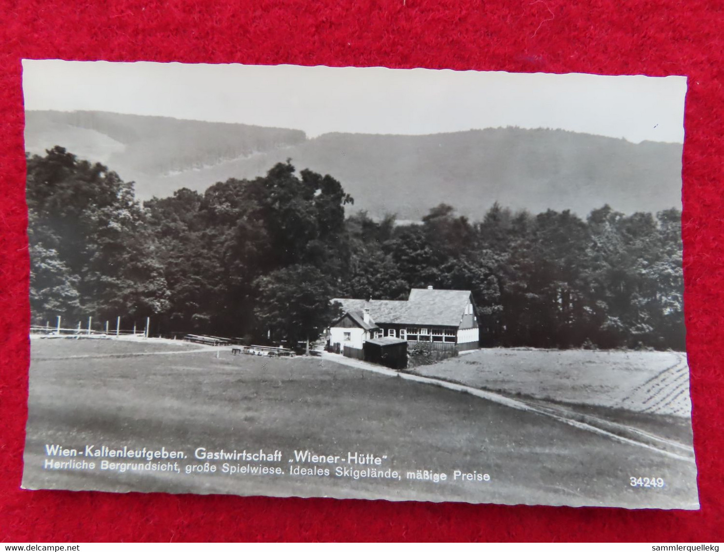 AK: Echtfoto - Wien-.Kaltenleutgeben. Gastwirtschaft "Wiener Hütte", Gelaufen 3. IX. 1961 (Nr.917) - Mödling