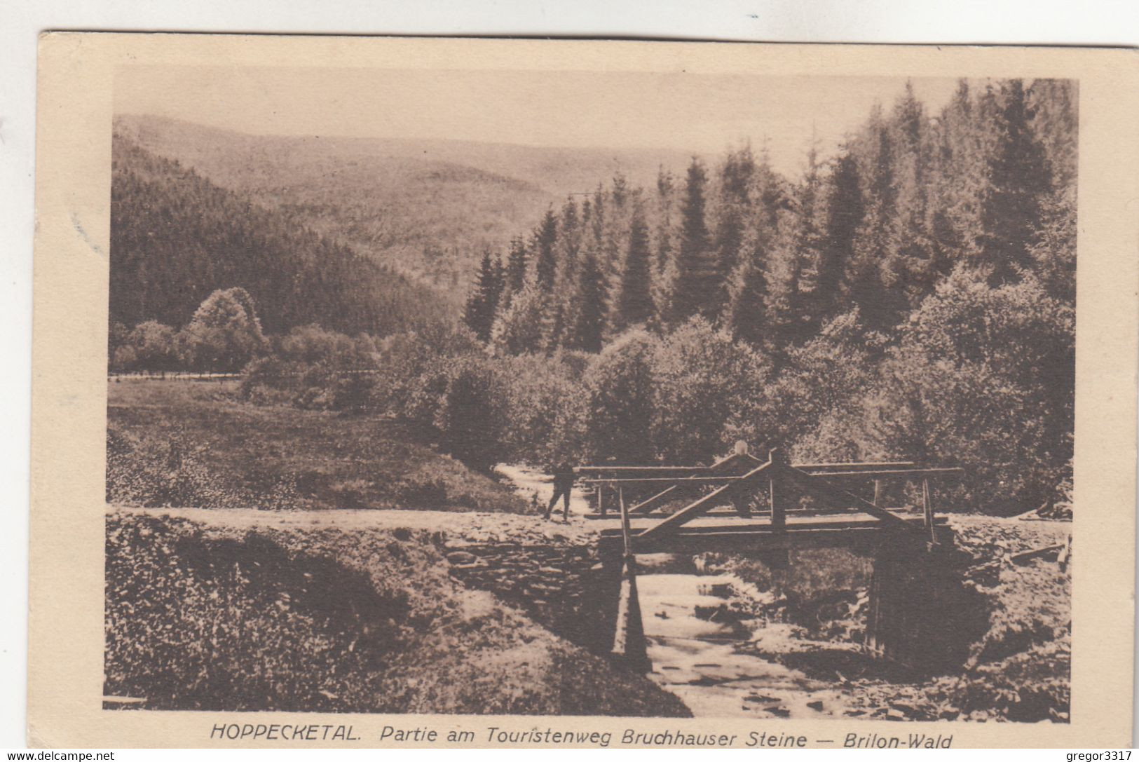 B375) HOPPECKETAL - Partie Am Touristenweg BRUCHHAUSER STEINER - BRILON WALD Mit Holzbrücke U. Mann ALT 1921 - Brilon