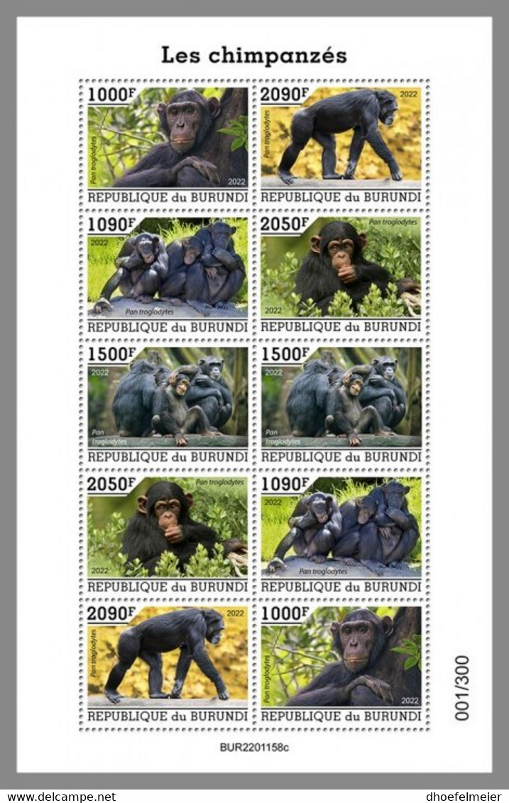 BURUNDI 2022 MNH Chimpanzees Schimpansen M/S ZDR. - OFFICIAL ISSUE - DHQ2214 - Chimpanzees