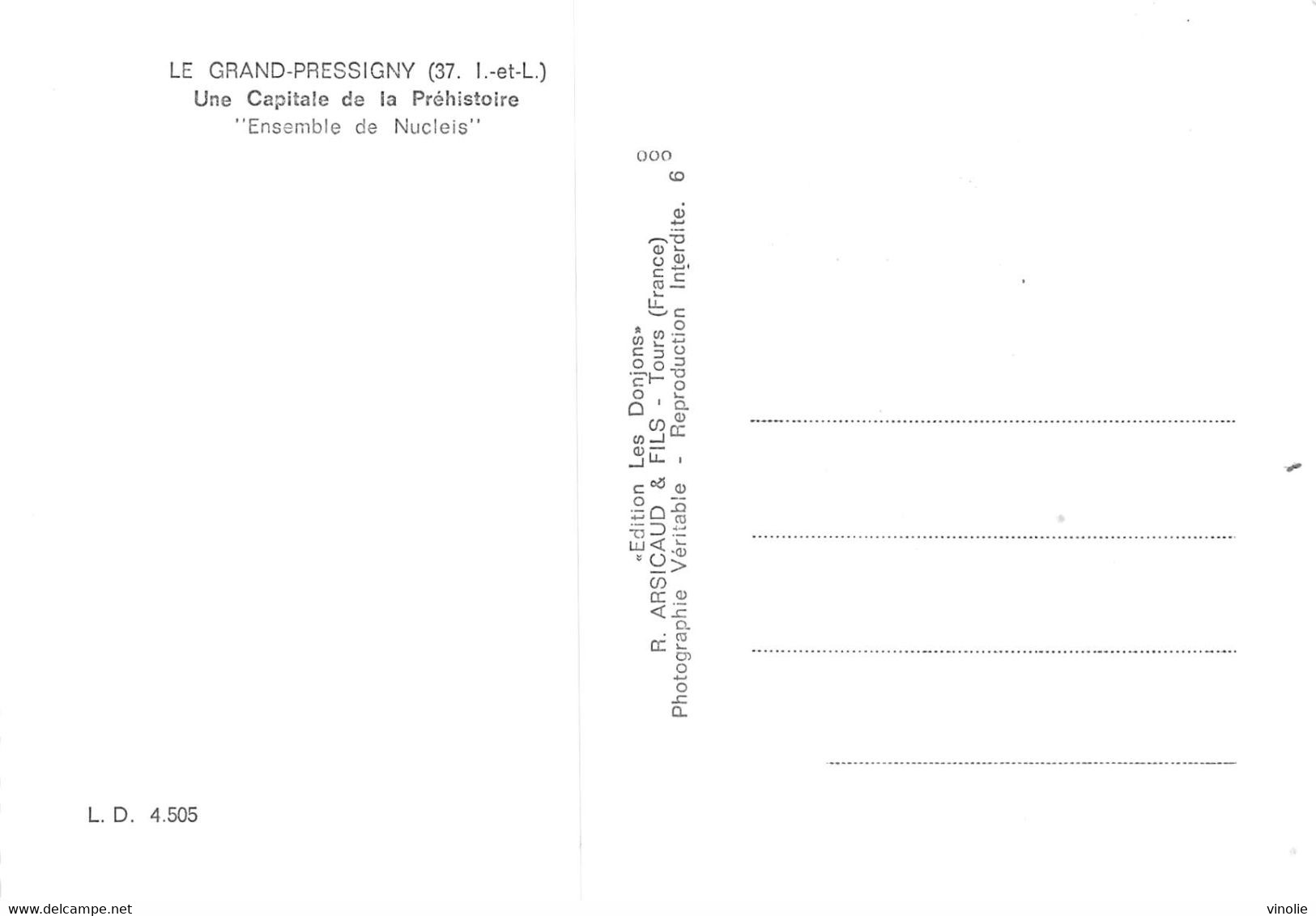 PIE-22-T.PL-2388 :  ARCHEOLOGIE LE GRAND-PRESSIGNY. SILEX TAILLES. NUCLEIS. PREHISTOIRE - Dolmen & Menhirs