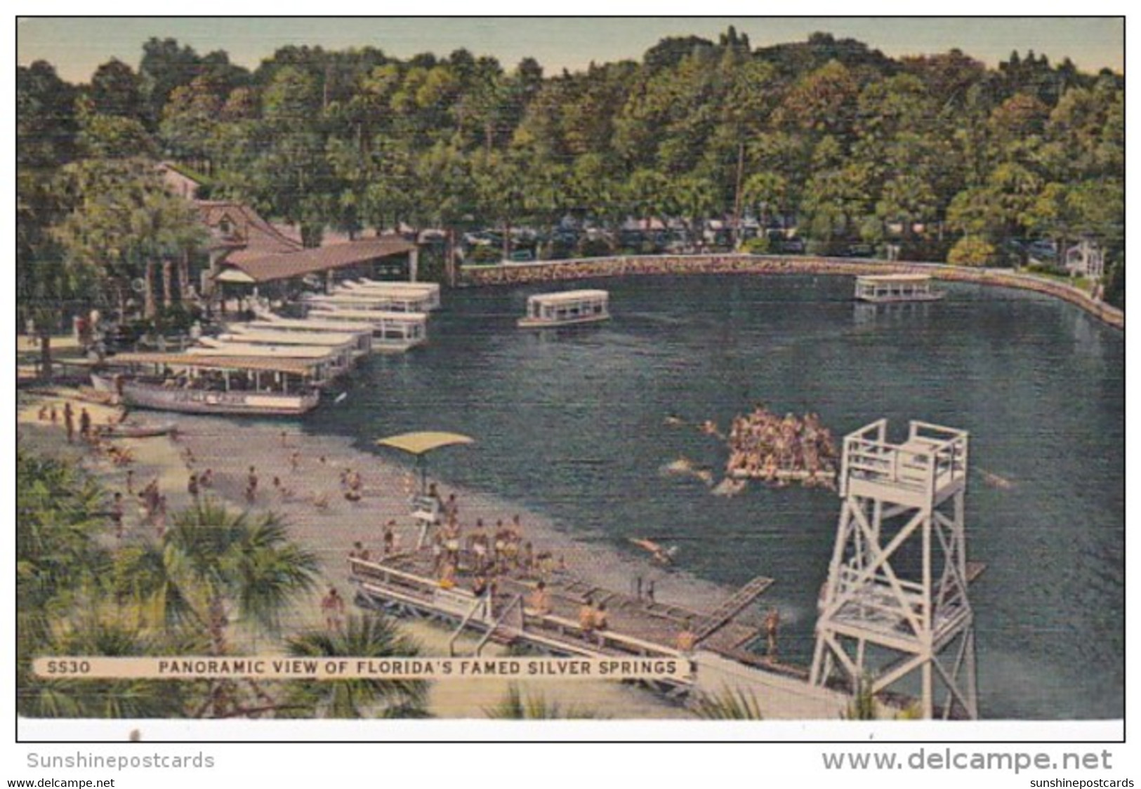 Florida Silver Springs Panoramic View - Silver Springs