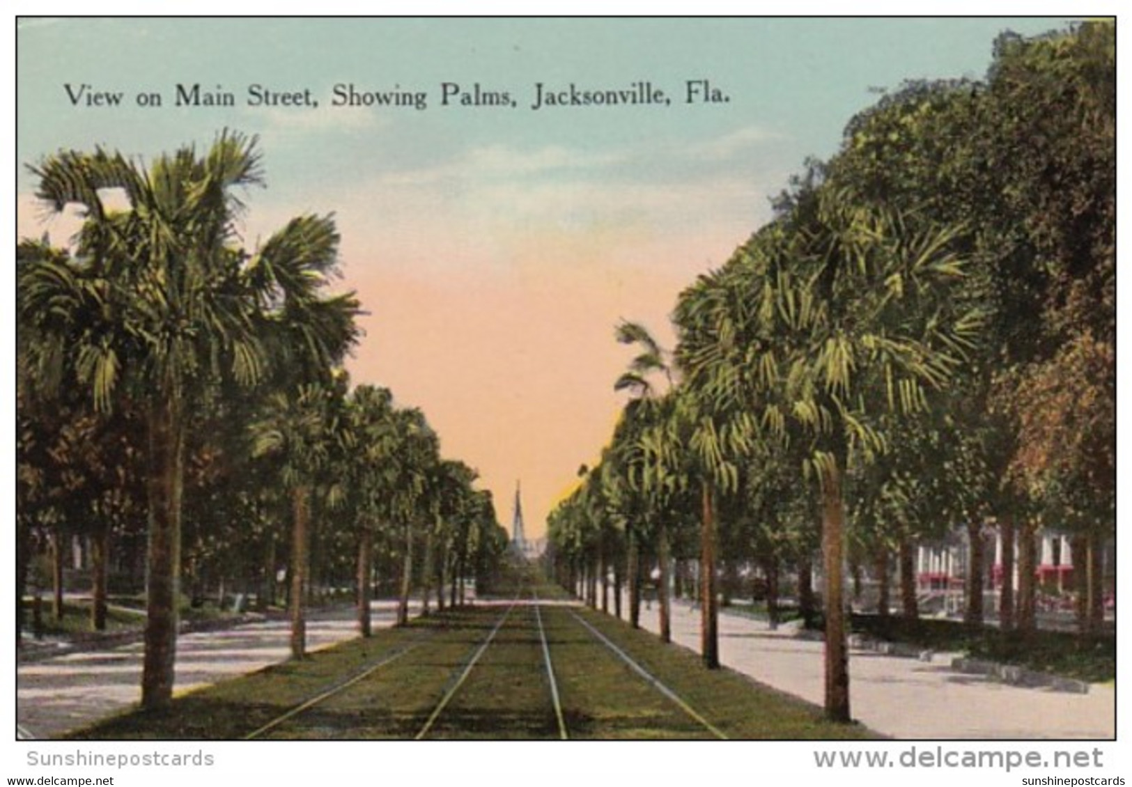 Florida Jacksonville Main Street Showing Palms - Jacksonville