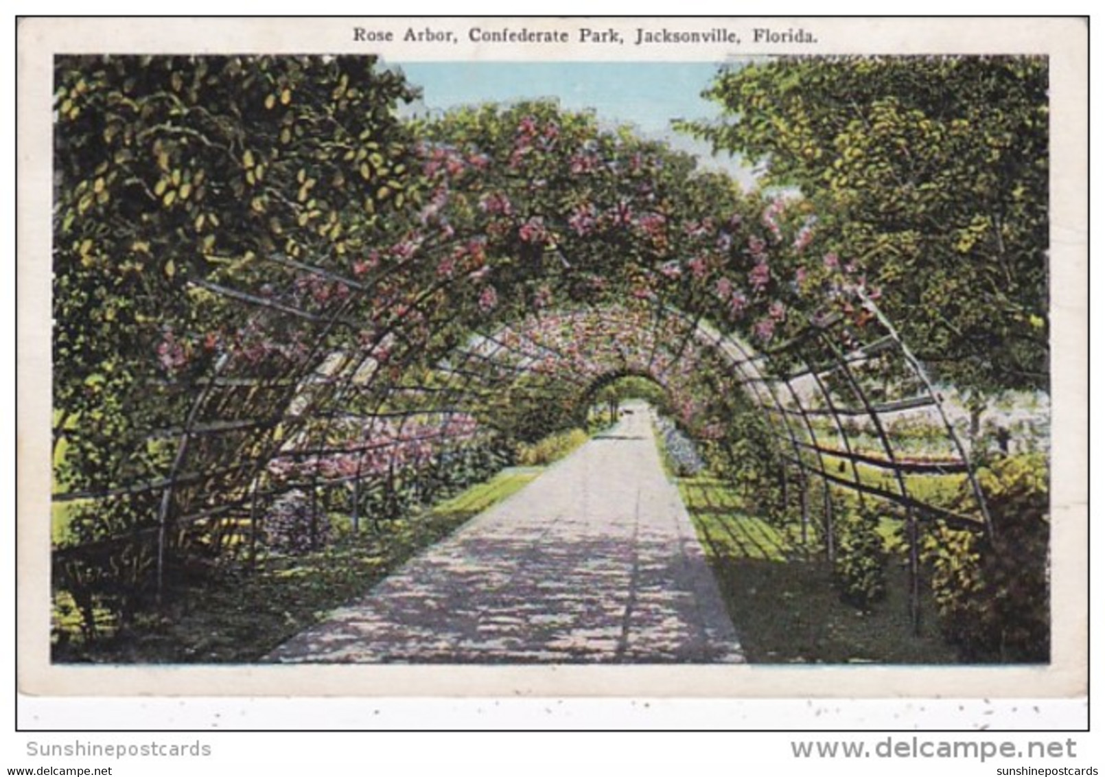 Florida Jacksonville Rose Arbor Confederate Park - Jacksonville