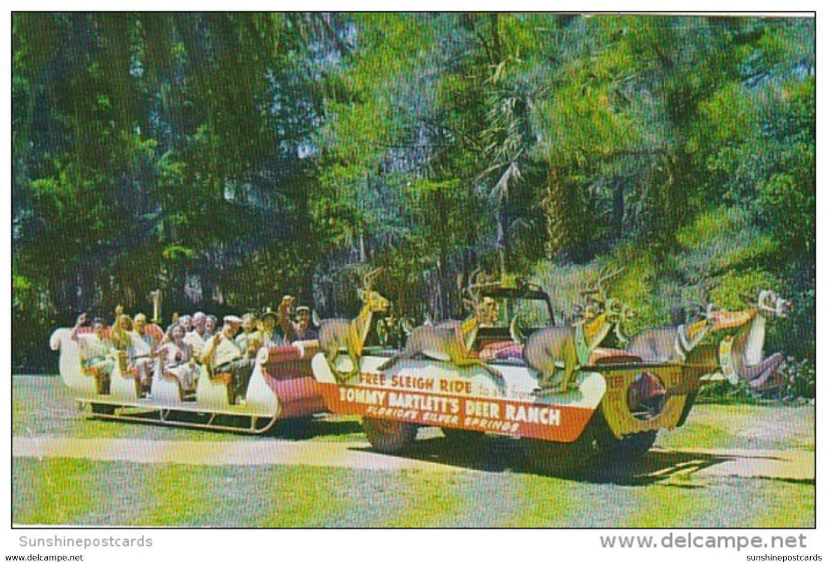 Florida Silver Springs Sleigh Riding Tommy Bartlett's Deer Ranch 1958 - Silver Springs