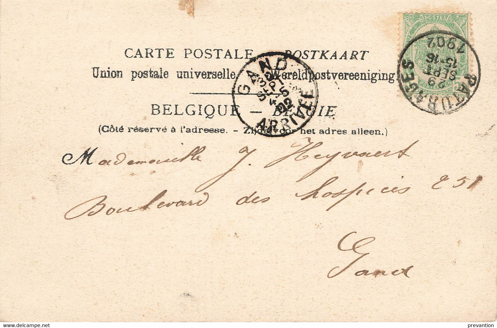 PATURAGES - Rue De La Perche - Carte Circulé En 1902 (avec Sur La Droite De La Carte " DELHAIZE FRERES & Cie") - Colfontaine