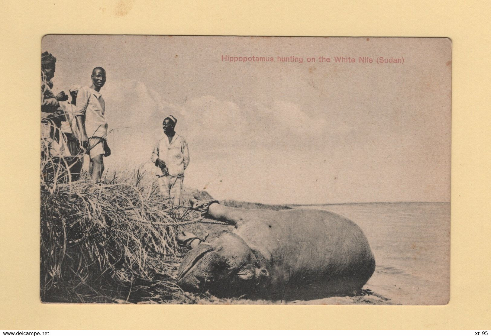 Soudan - Sudan - Hippopotamus Hunting On The White Nile - Sudan