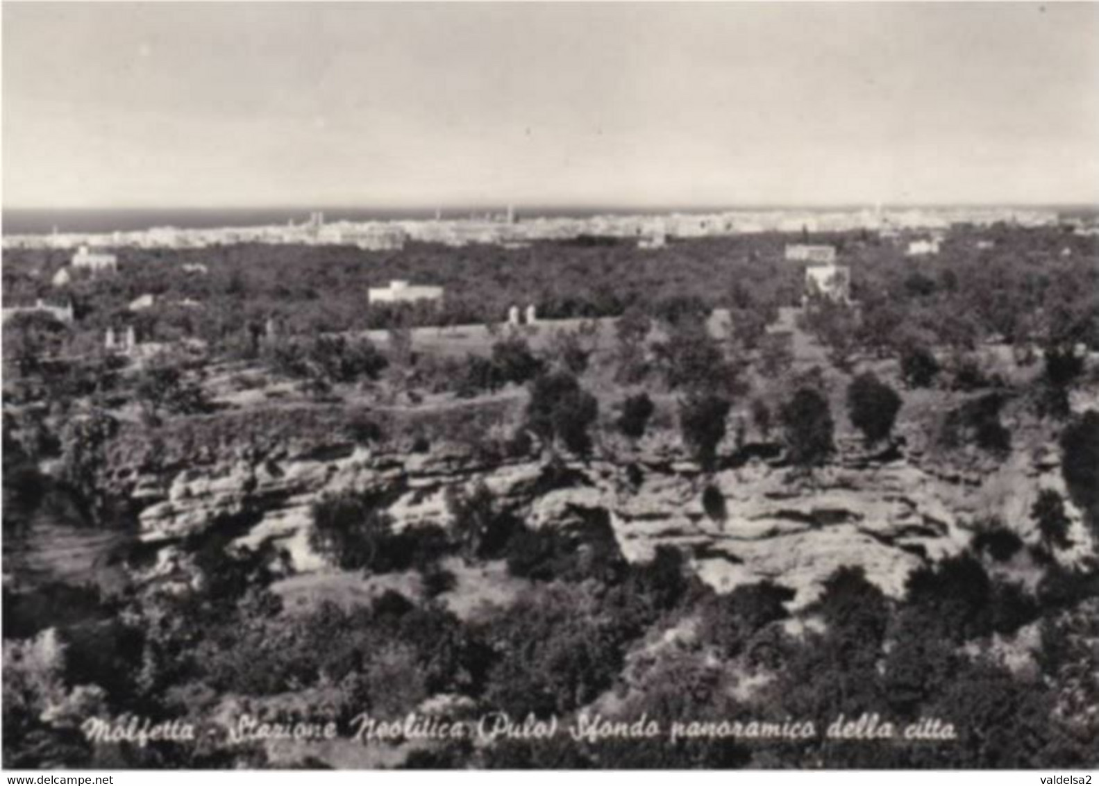 MOLFETTA - BARI - STAZIONE NEOLITICA - SULLO SFONDO PANORAMA DELLA CITTA' - 1957 - Molfetta