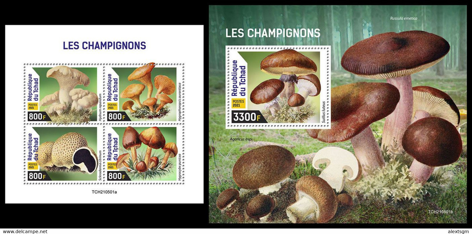 CHAD 2021 - Mushrooms, M/S + S/S. Official Issue [TCH210501] - Tschad (1960-...)