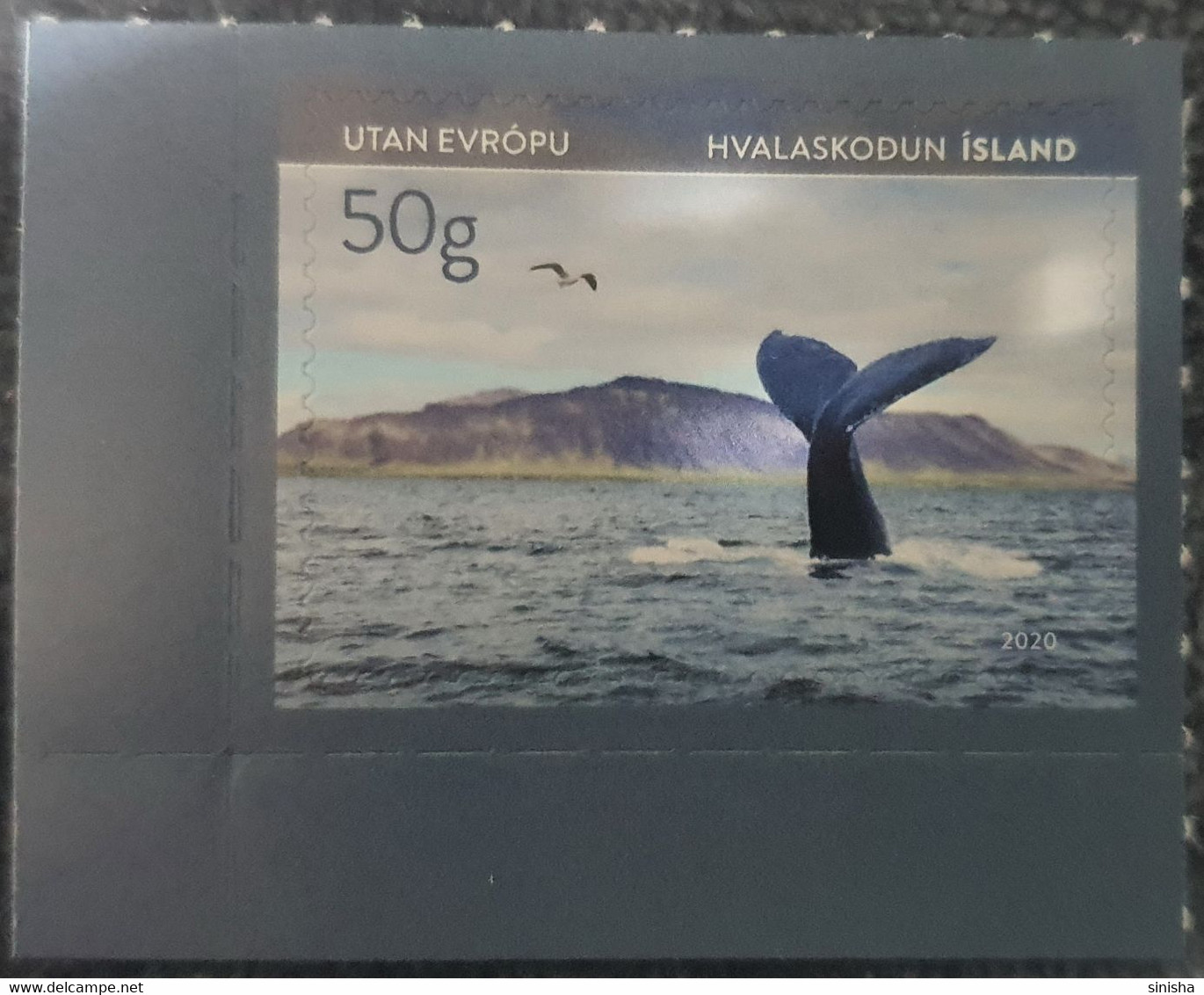Iceland / Animals / Tourism, Sport, Rafting, Fauna, Whales - Ungebraucht