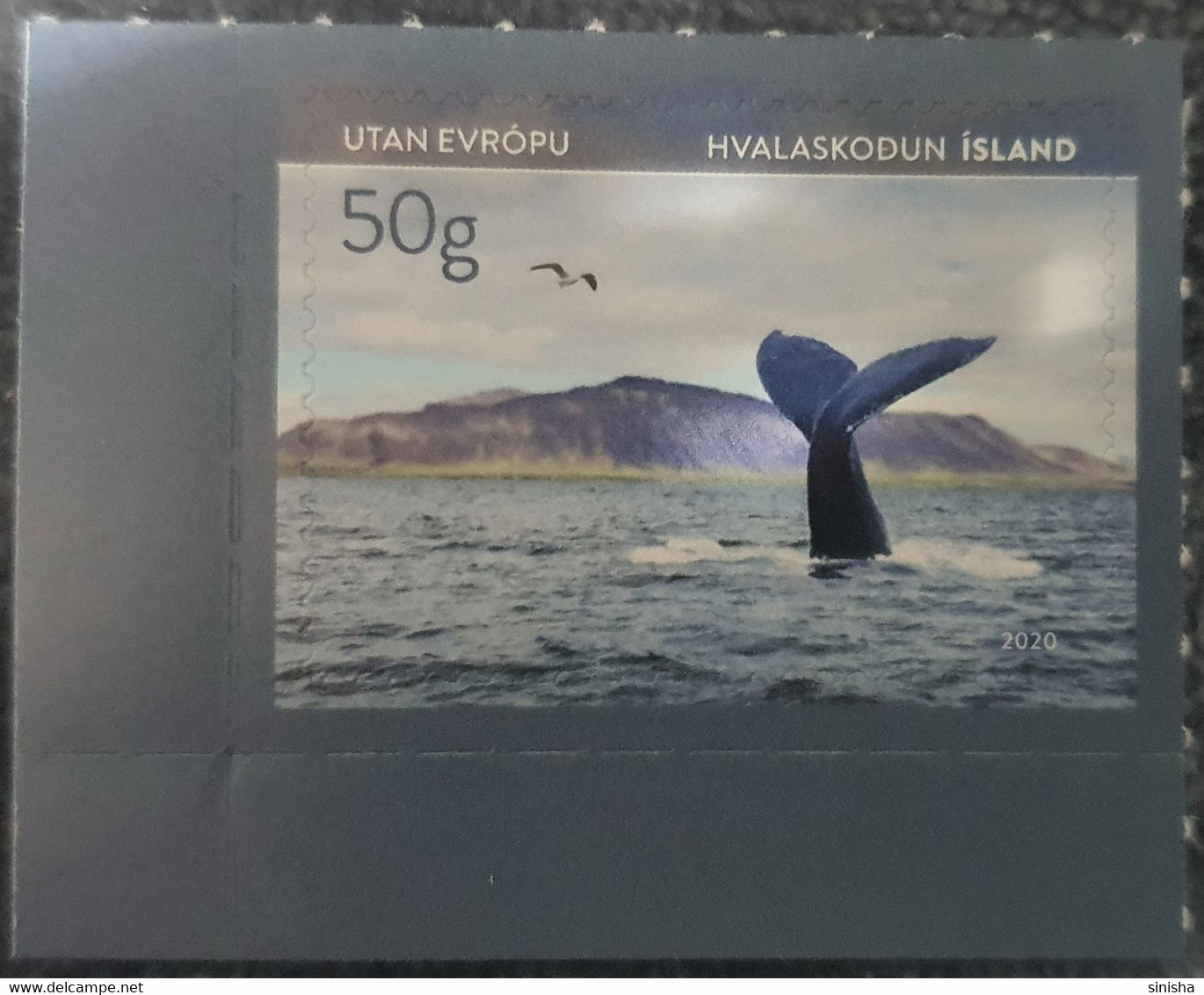 Iceland / Animals / Tourism, Sport, Rafting, Fauna, Whales - Nuevos