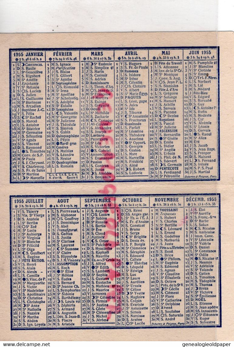 87- LIMOGES- CALENDRIER P. COISSAC 1955-NEIGE- PHARMACIE PHARMACIEN PHYTOPHARMACIE-17 AVENUE LIBERATION-GARIBALDI - Petit Format : 1941-60