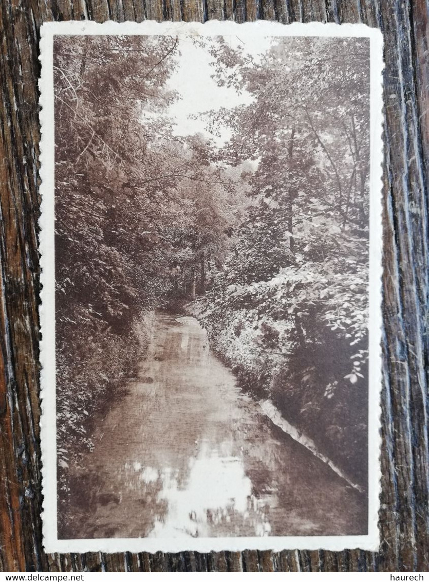 Grez-Doiceau La Rivière Le Train Au Franc Moulin Léon Michaux Nels - Graven