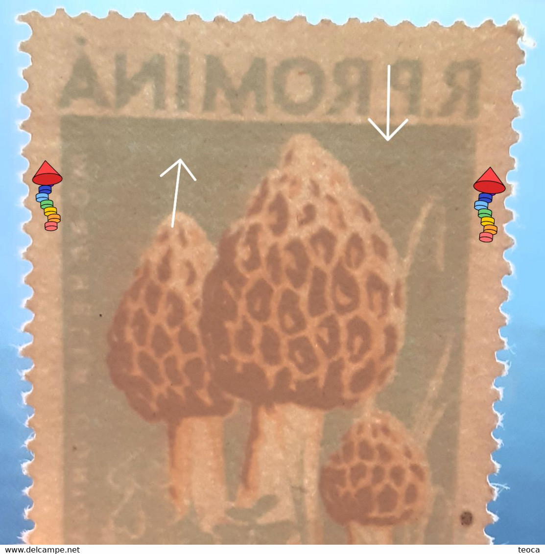 Errors Romania 1958 Mi 1727 Mushrooms Printed With Watermark  Horizontal Line  Unused - Variedades Y Curiosidades