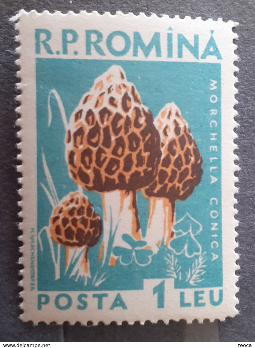 Errors Romania 1958 Mi 1727 Mushrooms Printed With Watermark  Horizontal Line  Unused - Plaatfouten En Curiosa