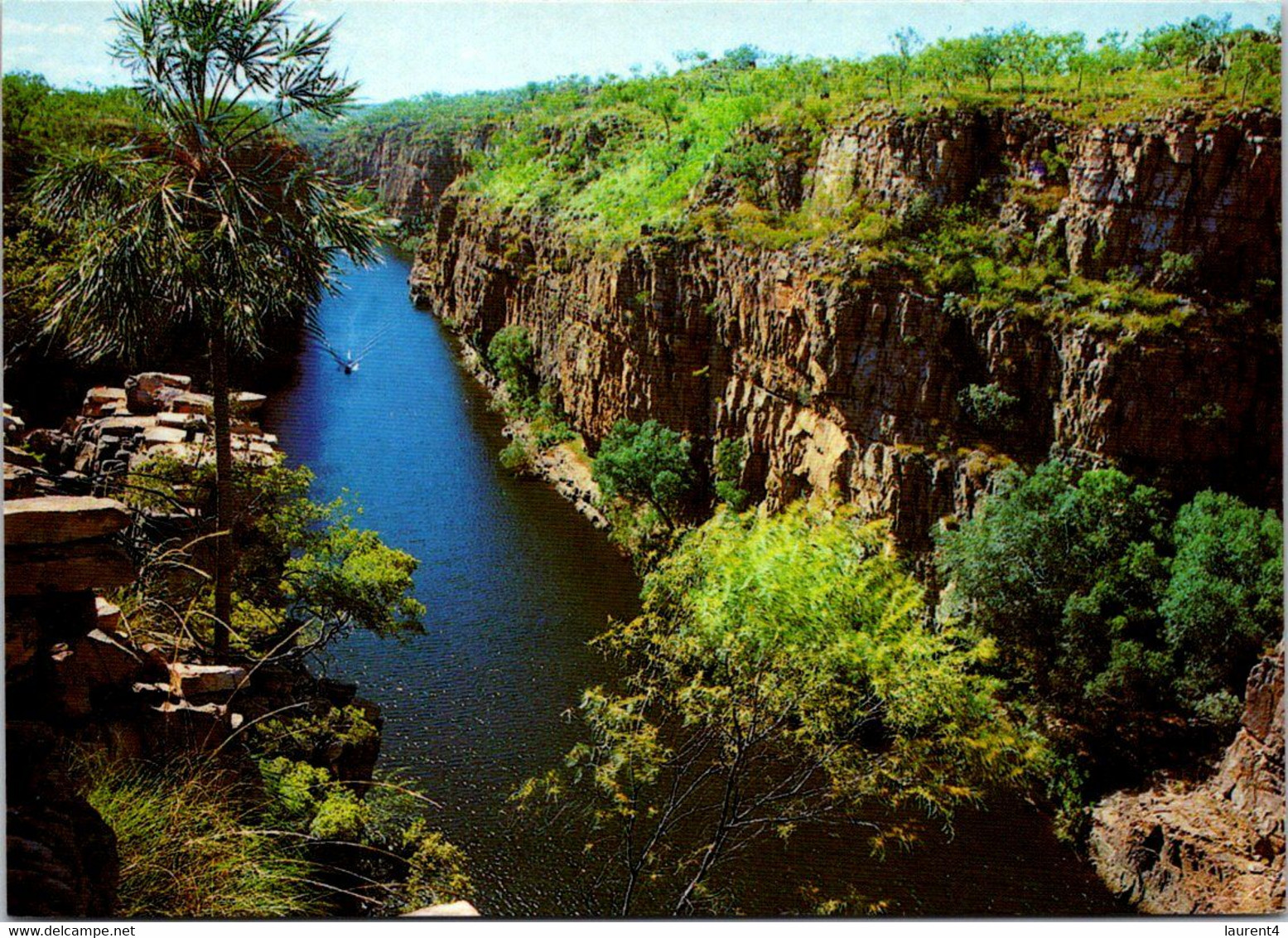 (2 H 15) Australia - NT - Katherine Gorge (posted From Pine Creek NT) To NSW In 2003 (flower Stamp) - Katherine