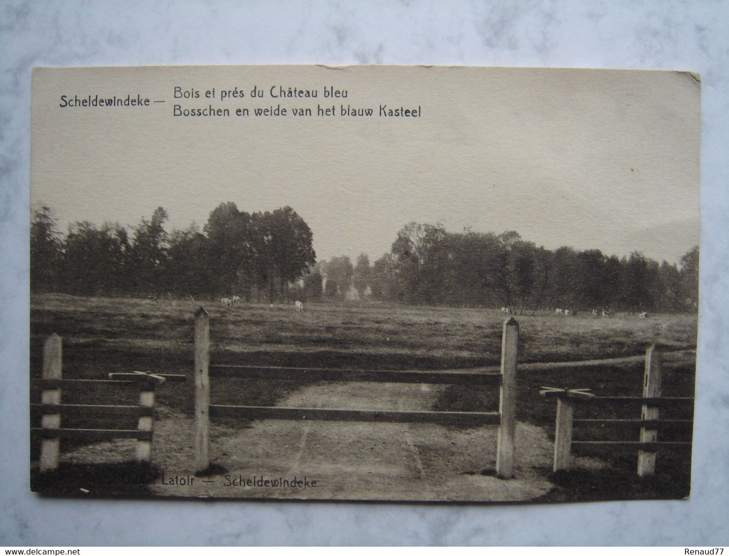 Scheldewindeke - Bois Et Prés Du Château Bleu - Oosterzele