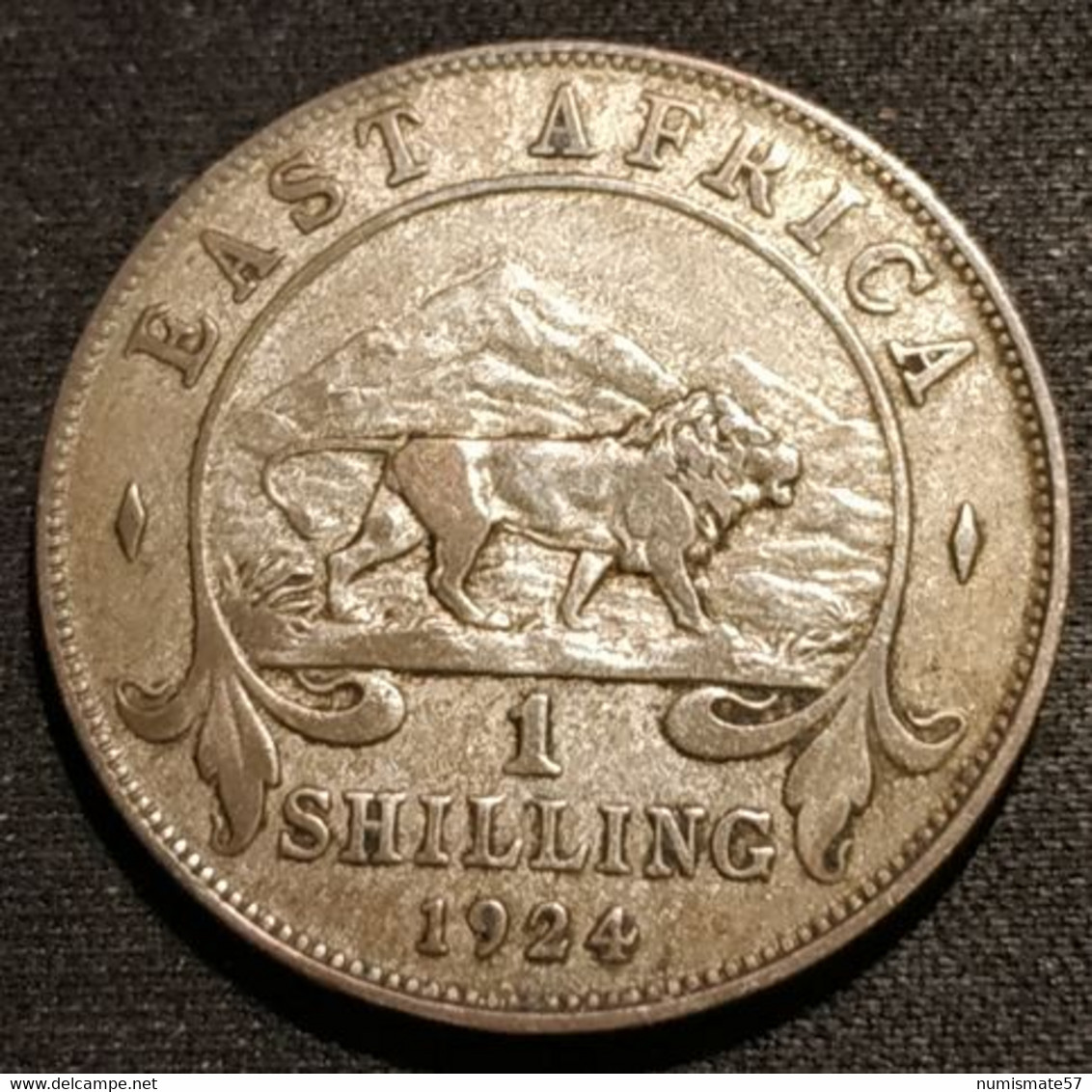 AFRIQUE DE L'EST - EAST AFRICA - 1 SHILLING 1924 - Argent - Silver - George V - KM 21 - Colonia Britannica