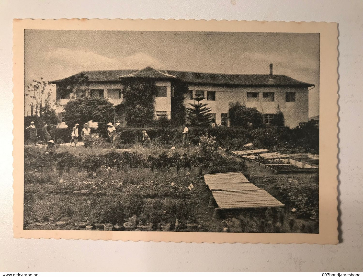 PALESTINE ISRAEL JUDAICA 2ND MACCABIAH 1936 POSTCARD NAHALAL GIRL'S FARM,  PHOTO BY ROBITSCHEK TMUNA EDITION NO 224 - Palestine