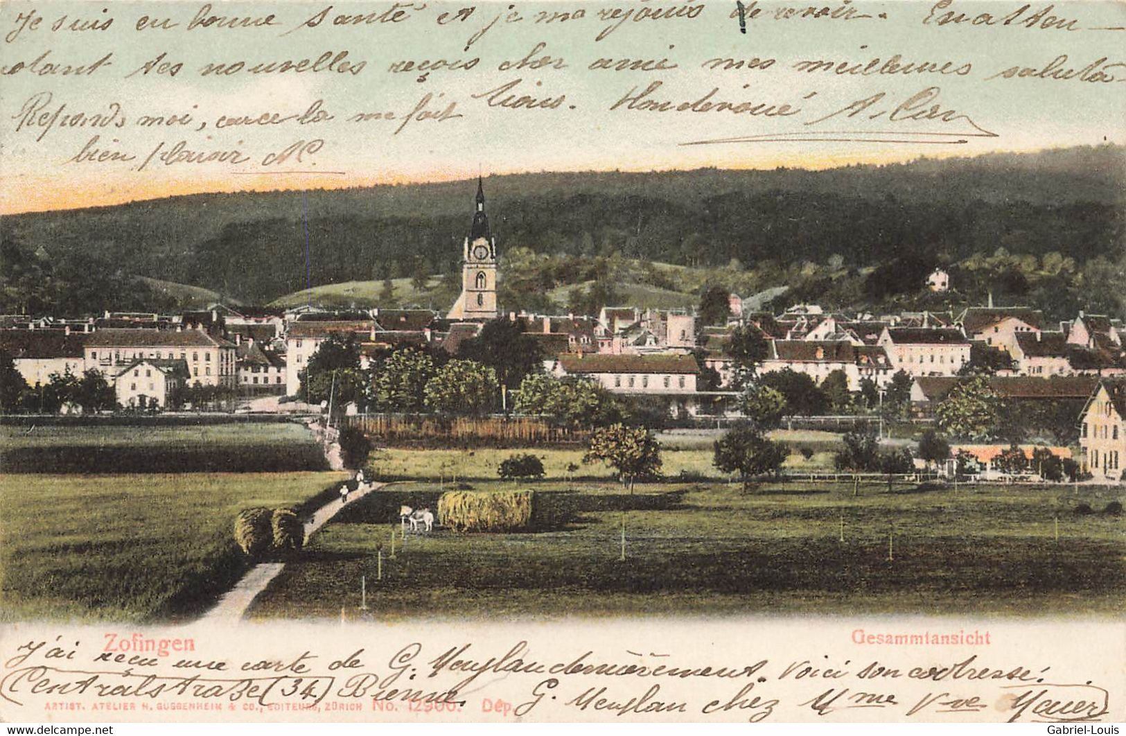 Zofingen1907 Pferd  Heuen - Zofingue