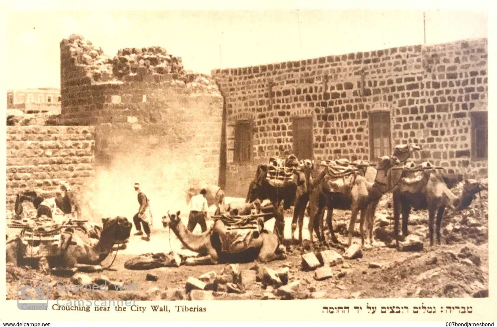 JUDAICA PALESTINE / ISRAEL RARE POSTCARD CAMELS NEAR THE CITY WALL TIBERIAS #24 HEFNER ַ& BERGER CRACOW 1935' - Palestine