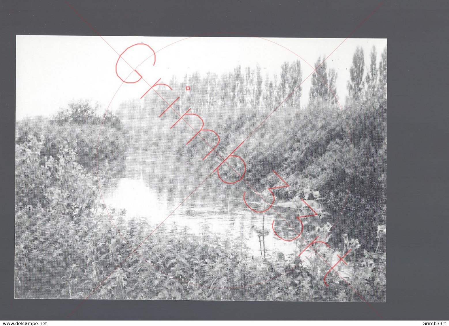 Zele - (Landschap) - Postkaart - Zele