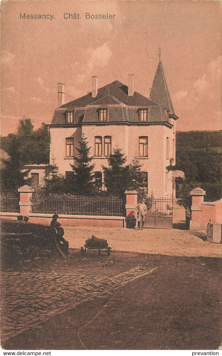 MESSANCY - Château Bosseler - Carte Circulé En 1933 - Messancy