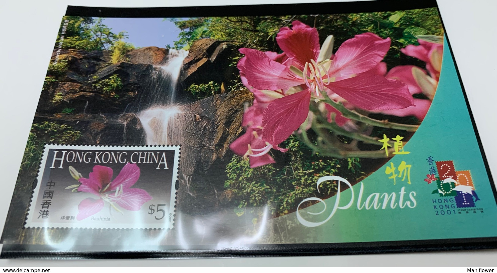 Hong Kong Stamp MNH Landscapes S/s Plant Waterfall Bauhinia 2001 Exhibition - Oblitérés