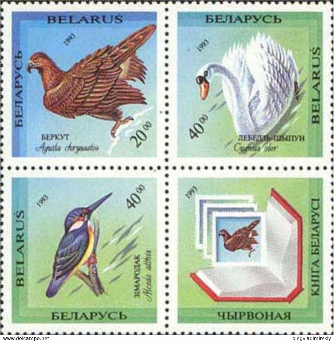 Belorussia Belarus 1994 Birds From The Red Book Of Belorussia Set Of 3 Stamps And Label In Block Mint - Cygnes