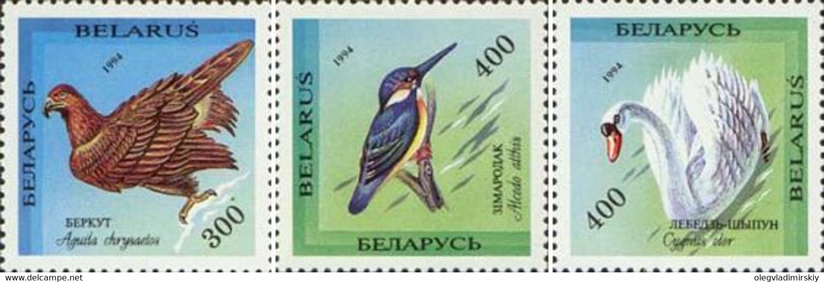 Belorussia Belarus 1994 Birds From The Red Book Of Belorussia Set Of 3 Stamps Mint - Cygnes